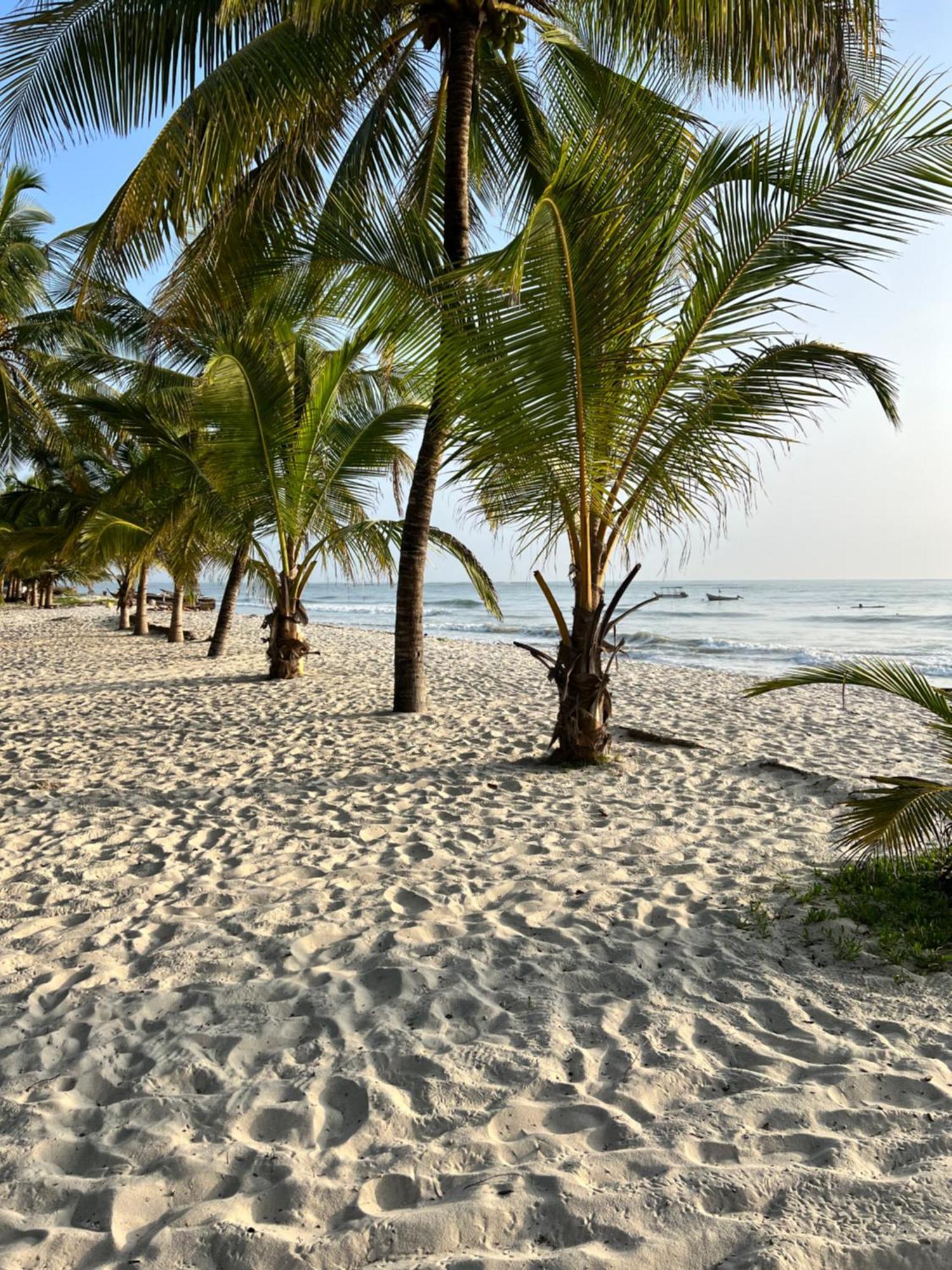 Waves And Wanderlust-Playa de Diani Exterior foto