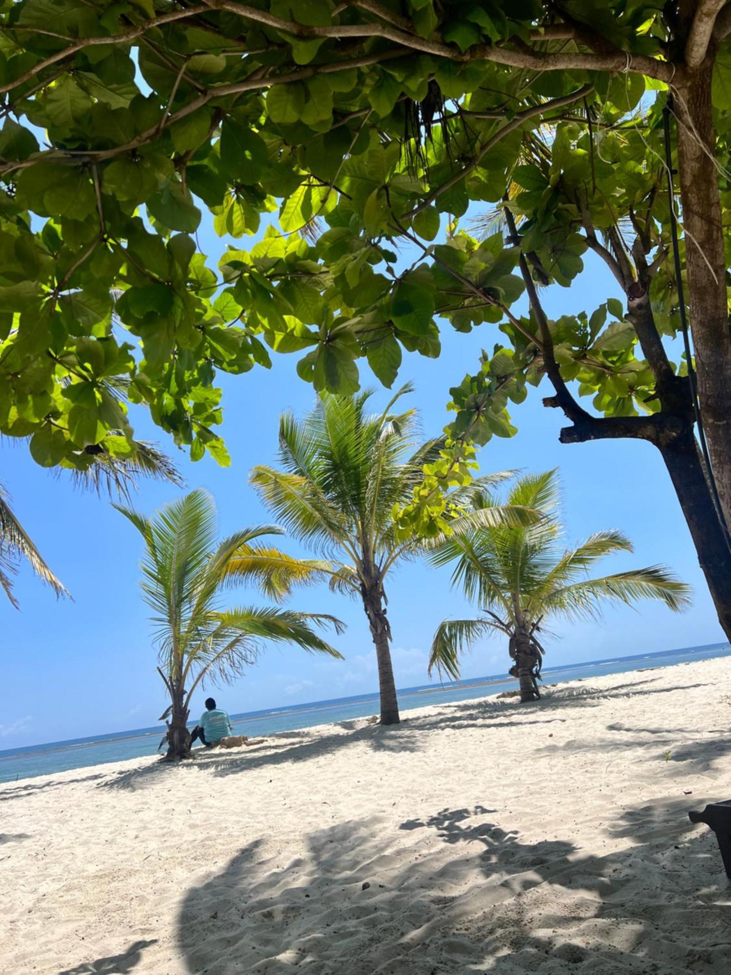 Waves And Wanderlust-Playa de Diani Exterior foto