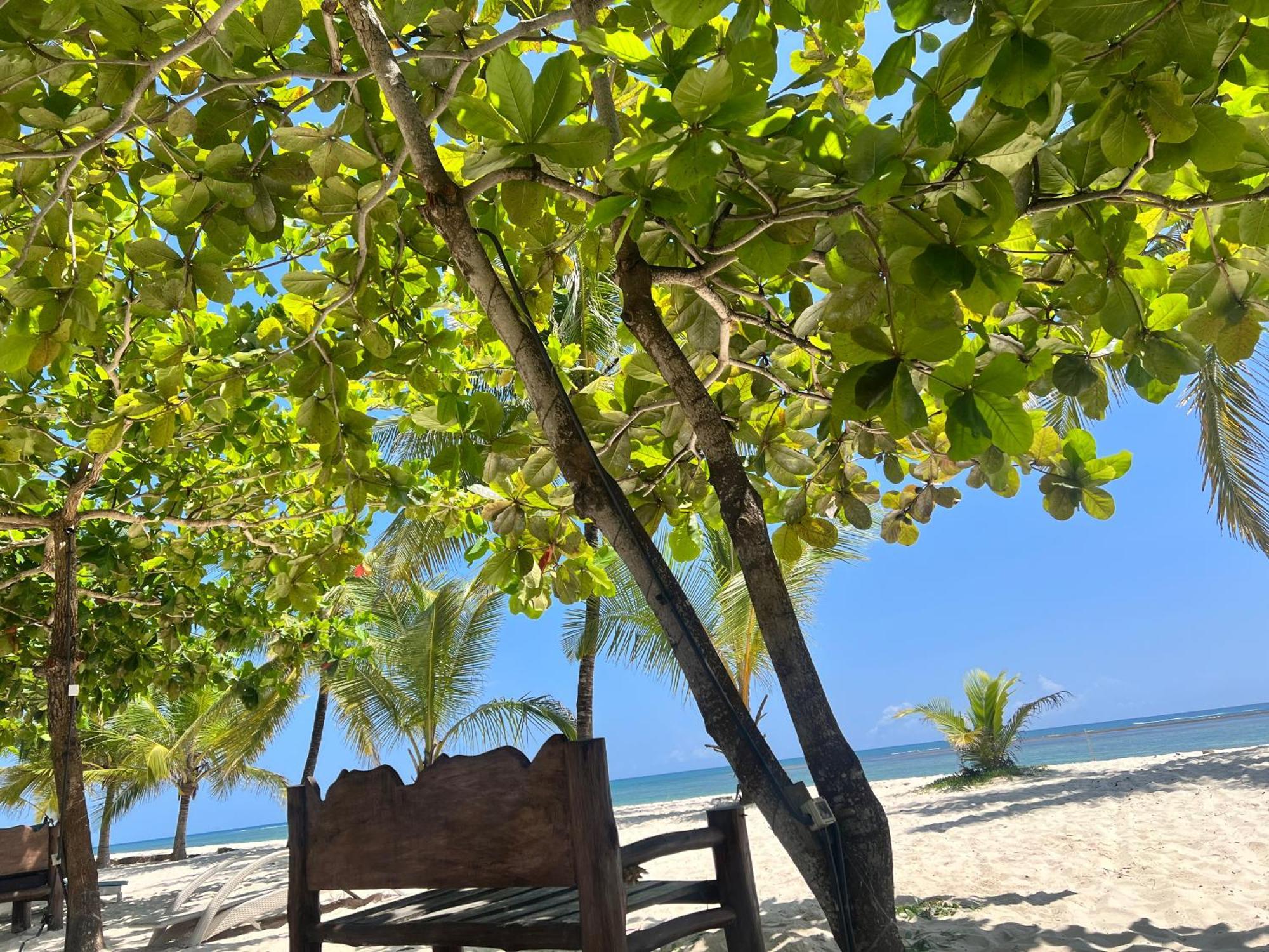 Waves And Wanderlust-Playa de Diani Exterior foto